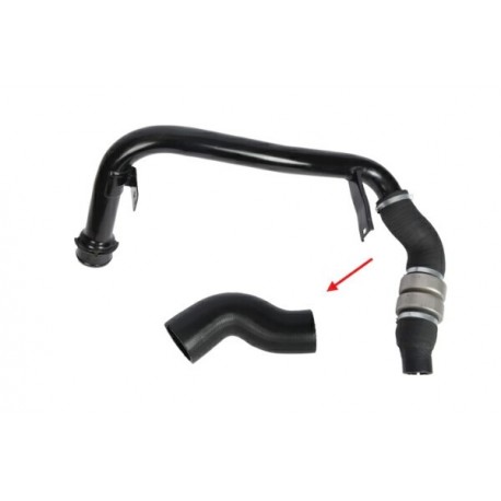 Conductă intercooler Citroën Jumper / Fiat Ducato / Peugeot Boxer (lungă) 1359961080