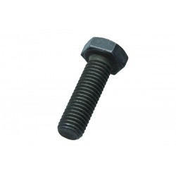 Șurub cu cap flanșă Iveco 16630033
