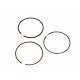 Set segmenti piston Volkswagen 1,8B 81,00 STD 800058810000