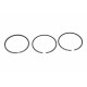 Set segmenti pistoane VW 1,9D/2,4D 79,50 STD R60370
