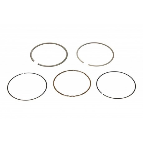 Set segmenti piston Volkswagen 1.6B 81,00 STD 800049811000