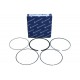 Set segmenti piston Ford 2,0 87,50 STD 800044910000