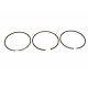 Set de segmenți de piston DB OM601D23/602D29 R45080