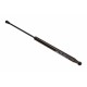 Arc gaz pentru capota motorului Lexus IS I, II 04.99-03.13 53450-0W080