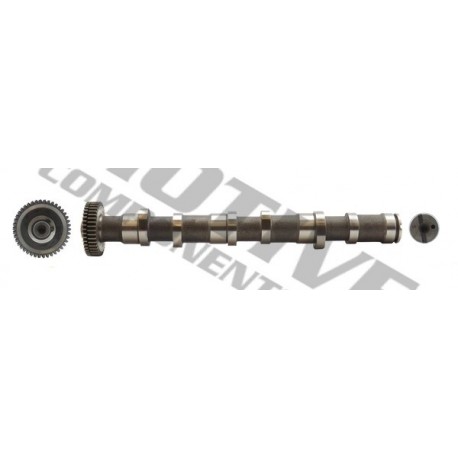 Arbore cu came Volkswagen 2,5 TDI 059109009BJ