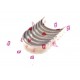 Lagăre de bielă Fiat 2.3 JTD standard set. 504049343