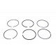 Set segmenti piston Renault RVI 123,00