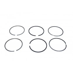Set de segmenți de piston Renault RVI 123,00