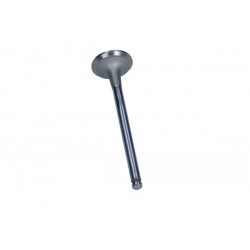 Supapă evacuare Fiat 2,5D/TD (Federal Mogul)