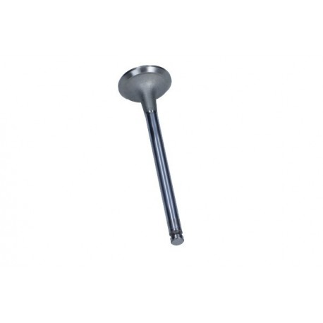 Supapă evacuare Fiat 2,5D/TD (Federal Mogul)