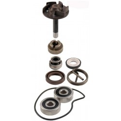 Set reparare pompă apă motocicletă Piaggio Beverly 250cc 2004/2005 100 110 220