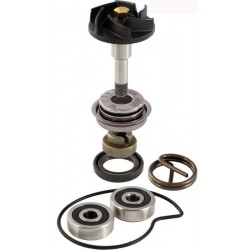 Set reparare pompă apă motocicletă Piaggio Beverly 250-300cc 100 110 210