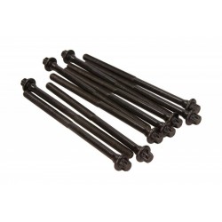 Șuruburi chiulasă Citroen 1,1-1,6 9624951480 (10x)