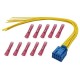 Cablu electric lampă spate DB stânga 12-10 fire albastru A0255459626
