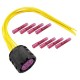 Fascicul electric far Fiat Ducato 06- 8 fire cu 1 conector V24-83-0013