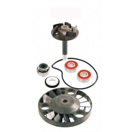 Set reparare pompă apă motocicletă Piaggio Beverly 125-200cc 2001/2003-Hexagon GTX125-180cc 2000 100 110 070