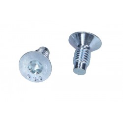 Set de 2 șuruburi disc frână Renault față/spate Captur/Clio/Kangoo/Laguna/Megane/Scenic/Trafic 95- 9161721