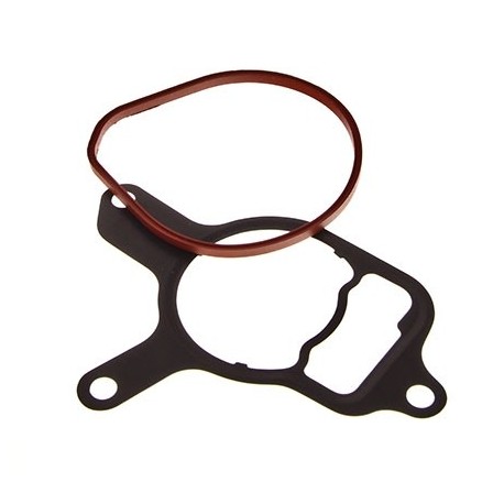 Set garnituri pompă vacuum Volkswagen Jetta 2,5 2008 07K 145 215 A