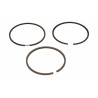 Inele de piston