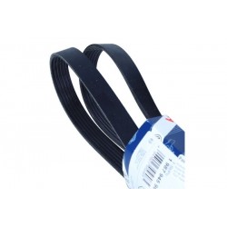 Curea multișanț 6PK1805