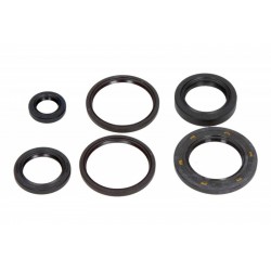 Set de garnituri de etanșare a uleiului motorului complet motocicletă Honda FES Foresight 4T LC 250 2000-2001 (6 buc.)