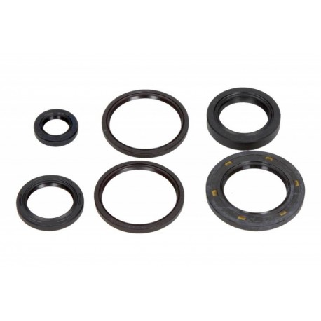 Set de garnituri de etanșare a uleiului motorului complet motocicletă Honda FES Foresight 4T LC 250 2000-2001 (6 buc.)