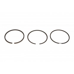 Set segmenti piston Peugeot 2.0 HDI 85,00 800045910000