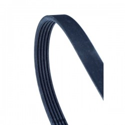 Curea multi-striată 5PK950 MD192809