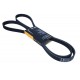 Curea multișanț 6PK2100 LR013697