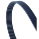 Curea multișanț 6PK2100 LR013697