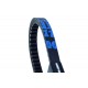 Curea de transmisie moto Kevlar 20x10,1x808
