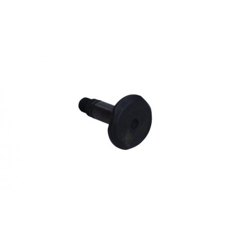 Bolt etrier frână 10 mm TRW, Lucas, Girling