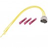 Cablu electric senzor arbore cu came Chevrolet 3 fire 6189-0027