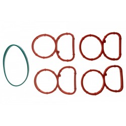 Set garnituri colector admisie BMW 1 E81/E87 118D, 120D, 123D 2007-, 3 E90/E91/E92/E93 320D, 320XD 2007-, 5 E60/E61 520D 2007-,