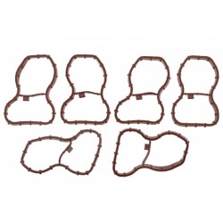 Set garnituri colector admisie BMW F01/F02 730D/740D 2008-, F06 640D 2012-, F07 530D/535D 2009-, F10/F11 530D/535D 2009-,