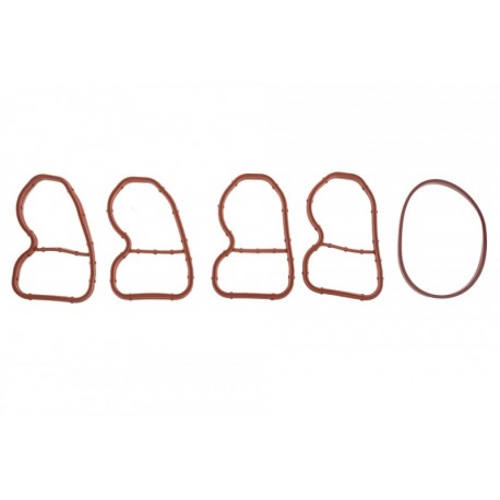 Set garnituri colector admisie BMW 1 F20/F21 118D, 120D, 125D 2015-, 3 F30/F31 316D, 318D, 320D, 325D 2011-, 5 F10/F11 518D,