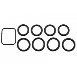 Set garnituri colector admisie Citroen Berlingo 1.6 HDI 2005-, C4 1.6 HDI 2004-, C5 II 1.6 HDI 2004-, C5 III 1.6 HDI 2008-,