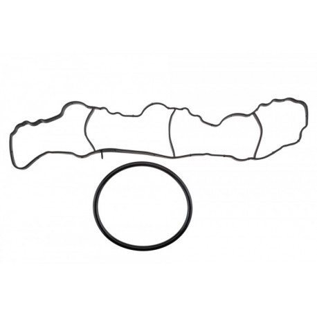 Garnitură colector admisie Mercedes Clasa A W176 A180CDI/A200CDI/A220CDI 2012-, Clasa C W204 C180CDI/C200CDI/C220CDI/C250CDI