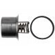 Termostat Porsche Cayenne 3.6/GTS/S/Turbo S 02- 94810612501