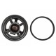 Termostat Porsche Cayenne 3.6/GTS/S/Turbo S 02- 94810612501