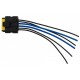 Cablu electric conector lampă spate Renault Clio III 2005- RE-002