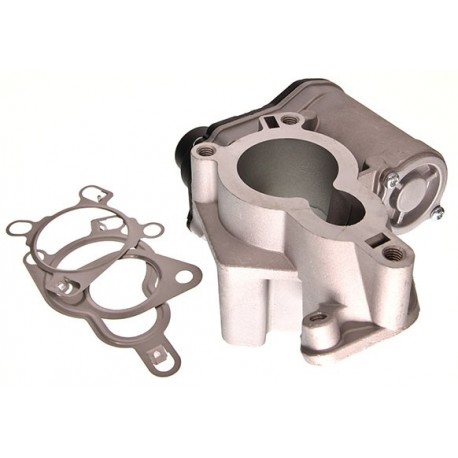 Supapă EGR Renault 2,0DCI