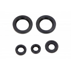 Set de garnituri de etanșare a uleiului motor KTM Duke 125 2011-2014 (4 buc.)
