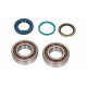 Set de garnituri de arbore cotit cu rulmenți Moto KTM EXC 400 2000-2001