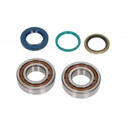 Set de garnituri de arbore cotit cu rulmenți Moto KTM EXC 400 2000-2001