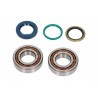 Set de garnituri de arbore cotit cu rulmenți Moto KTM EXC 400 2000-2001