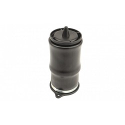 Perna pneumatică suspensie Mercedes Vito W639 03 A6393280101