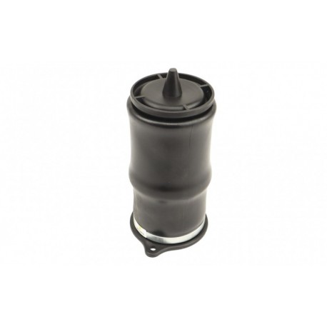 Perna pneumatică suspensie Mercedes Vito W639 03 A6393280101