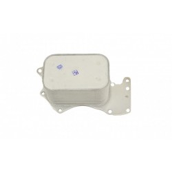 Radiator ulei Audi A6 C6 04 2.7 3.0 TDI 059117021H