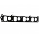 Garnitură colector admisie Fiat Doblo 00 1.9JTD 1311979J50000